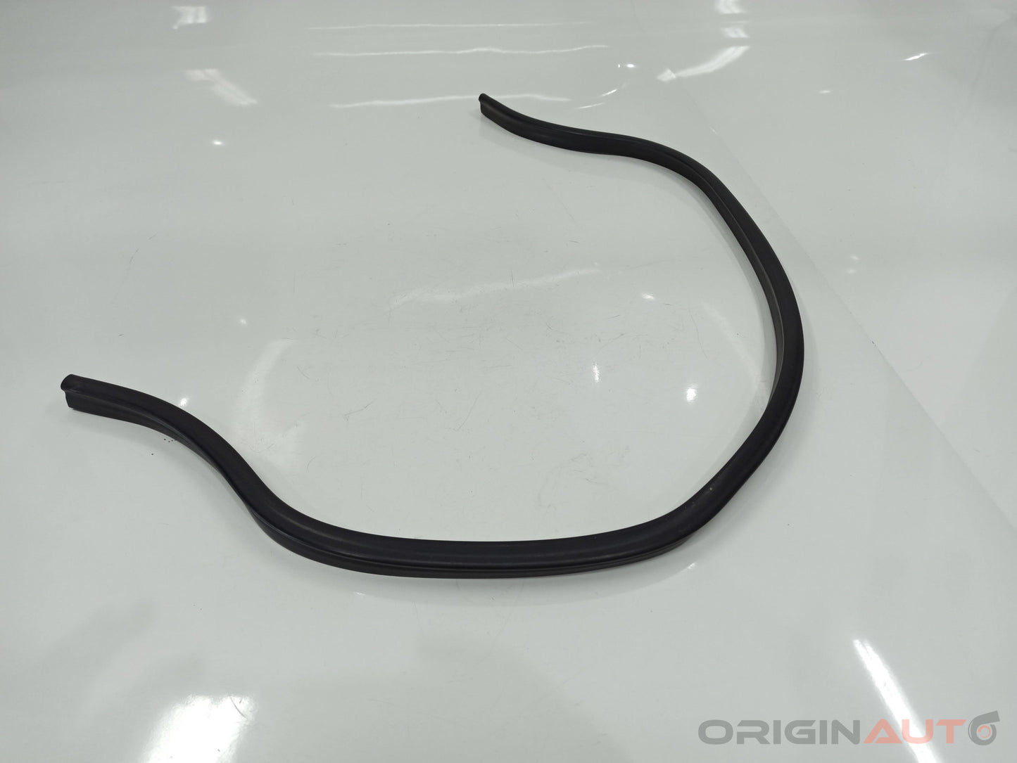 Borracha Capo Volkswagen Passat Variant 2012 3C0823723