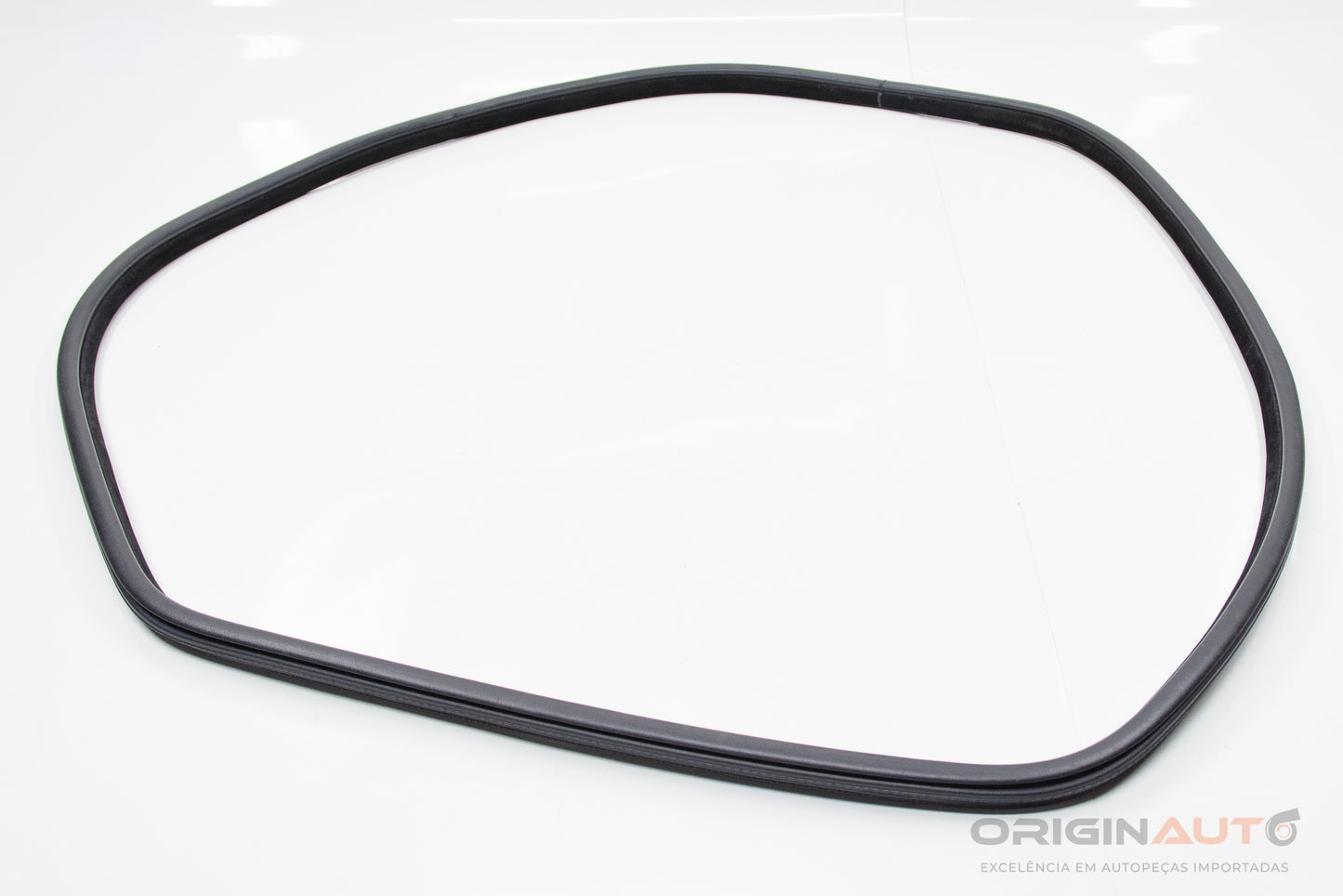 Borracha Porta Traseira Esquerda Bmw X5 35I F15 2014 7289689