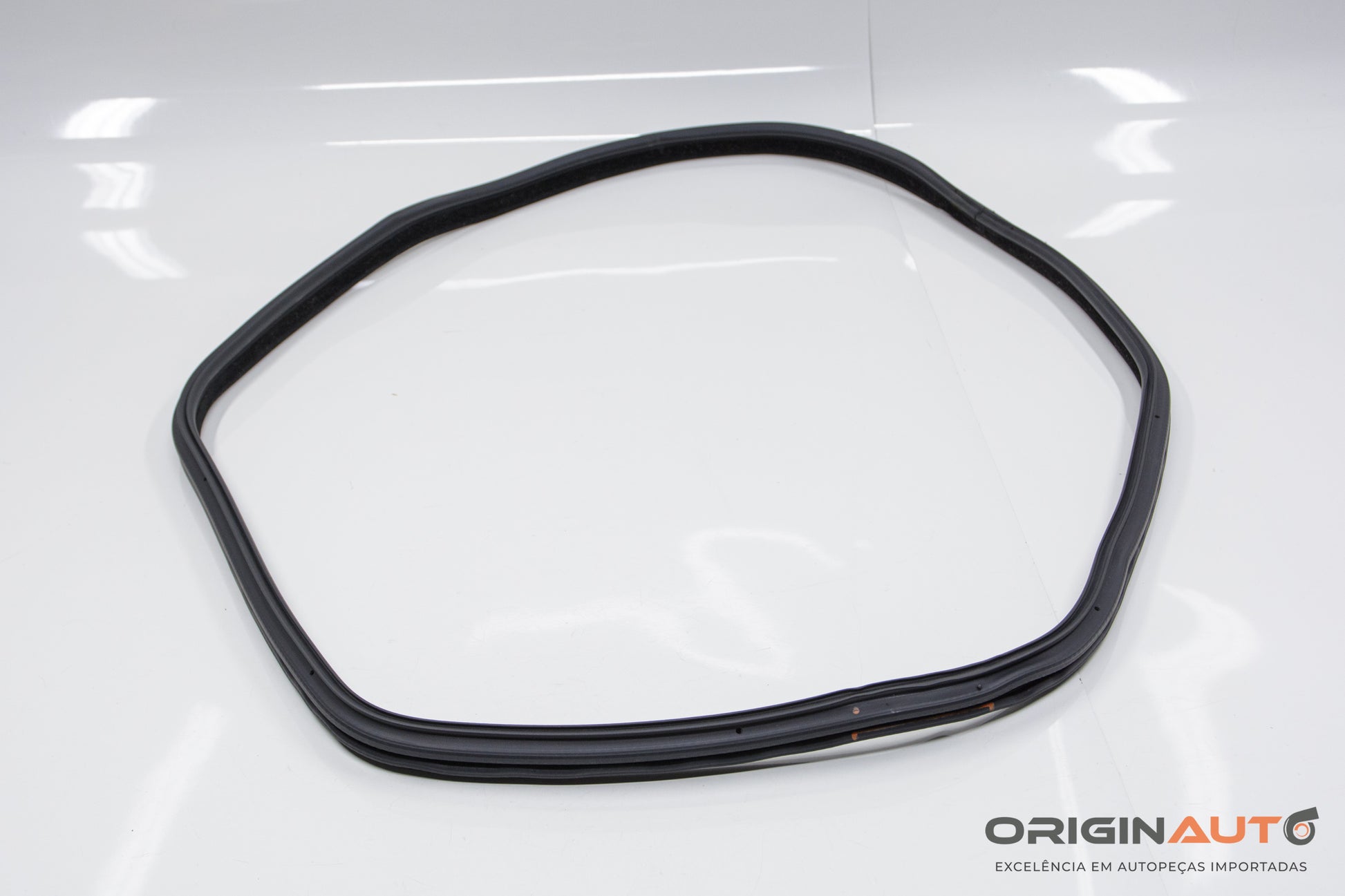 Borracha Vedacao Porta Traseira Direita Bmw 320I Gt F34 2015 51767385027