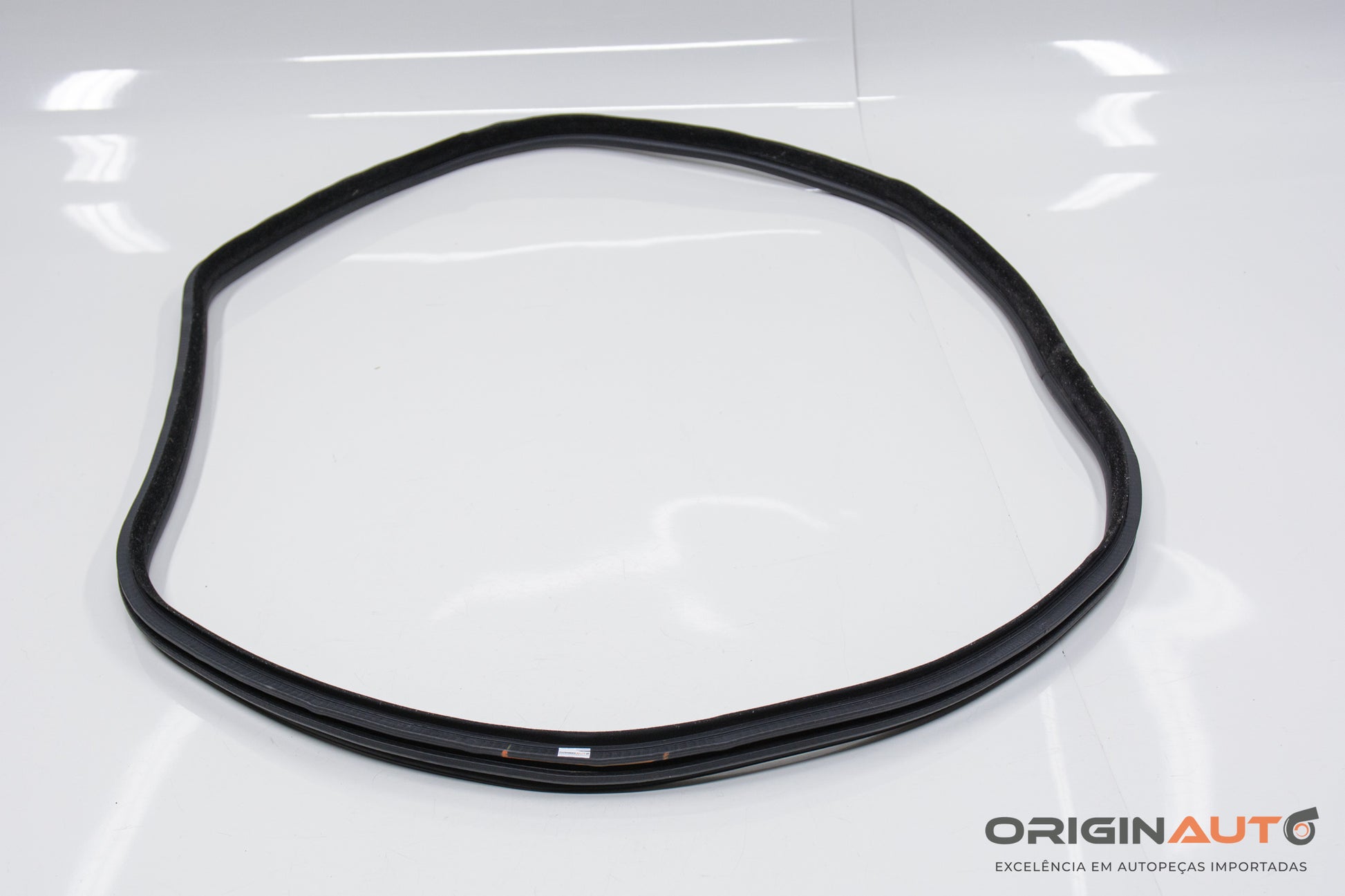 Borracha Vedacao Porta Traseira Esquerda Bmw 320I Gt F34 2015 51767385027