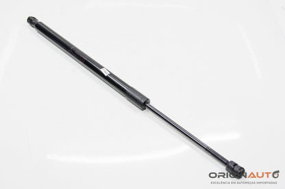 Amortecedor Porta Malas Land Rover Discovery Sport Hse 2015 Fk72406A10Ab