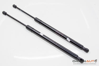 Amortecedor Porta Malas Land Rover Discovery Sport Hse 2015 Fk72406A10Ab