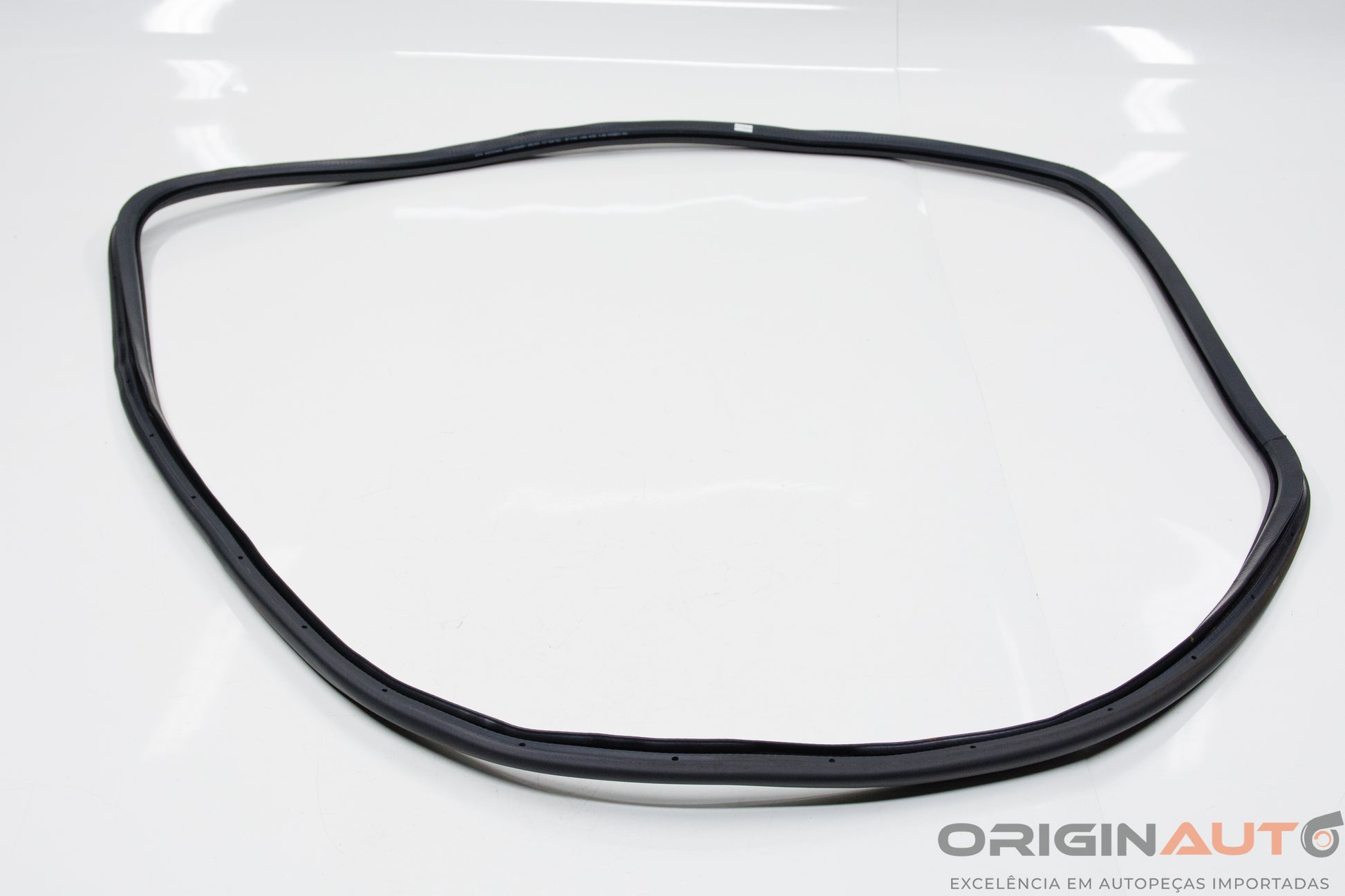 Borracha Porta Dianteiro Esquerdo Volkswagen Passat Variant 2012 3C4867911B