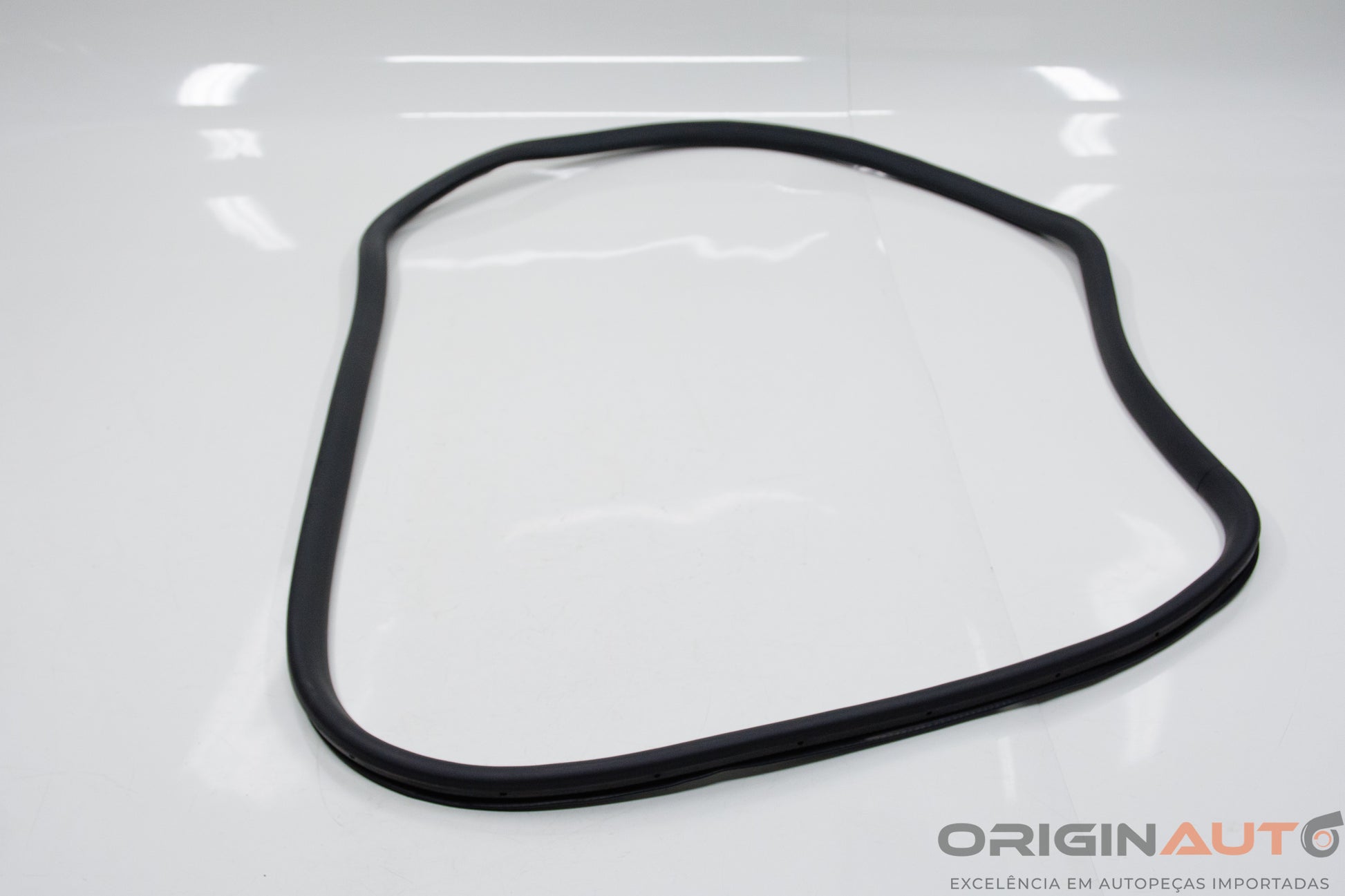 Borracha Porta Dianteiro Direito Volkswagen Passat Variant 2012 3C4867911B