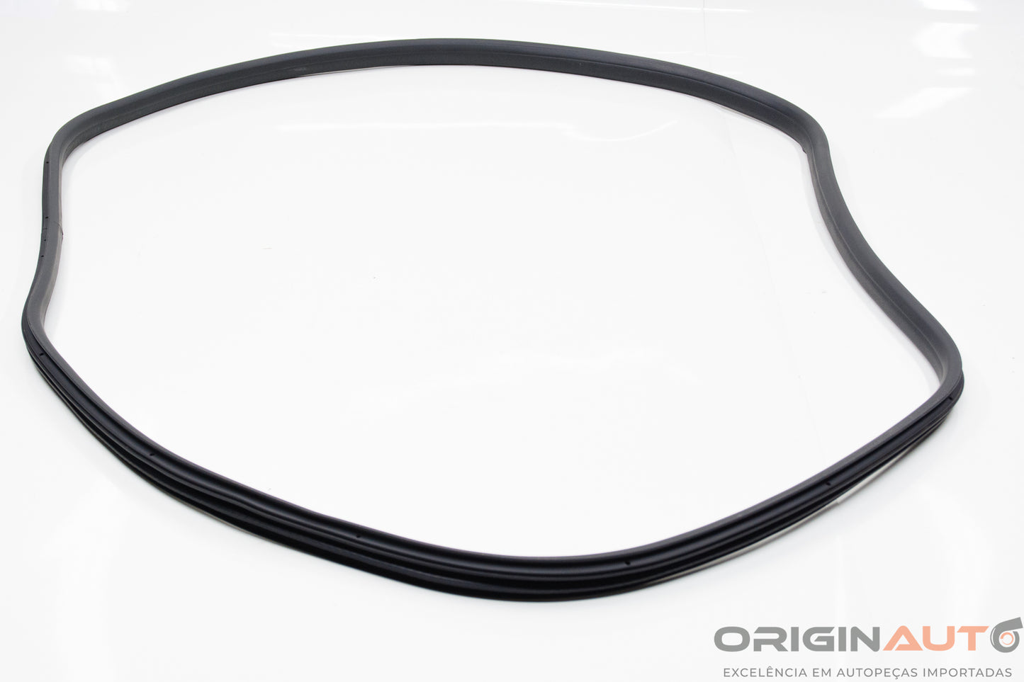 Borracha Porta Traseiro Esquerdo Volkswagen Amarok Highline 2016 2H7839761N