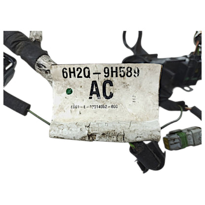 Chicote Injeção Do Motor Discovery 3 2.7 V6 Diesel 6H2Q9H589