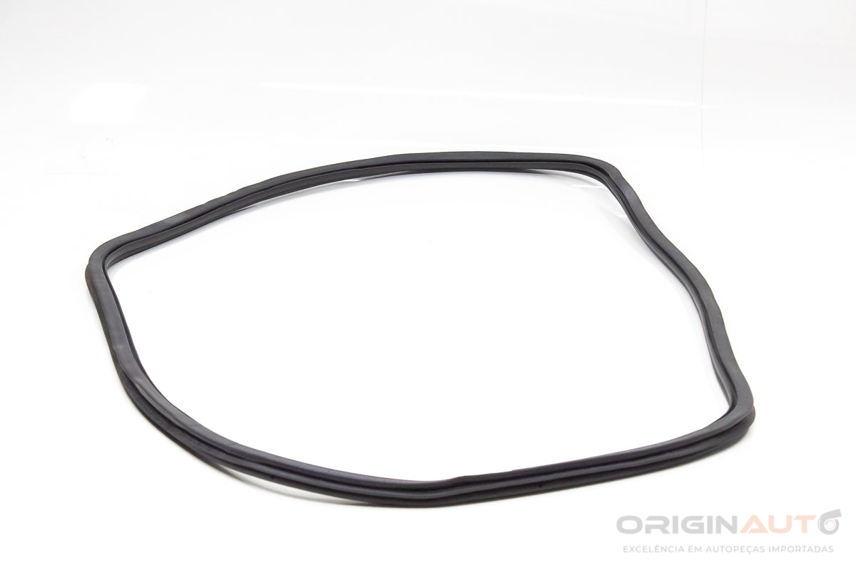 Borracha Porta Traseira Direita Vw Jetta Comfort 1.4Tsi 2017 5C6867914