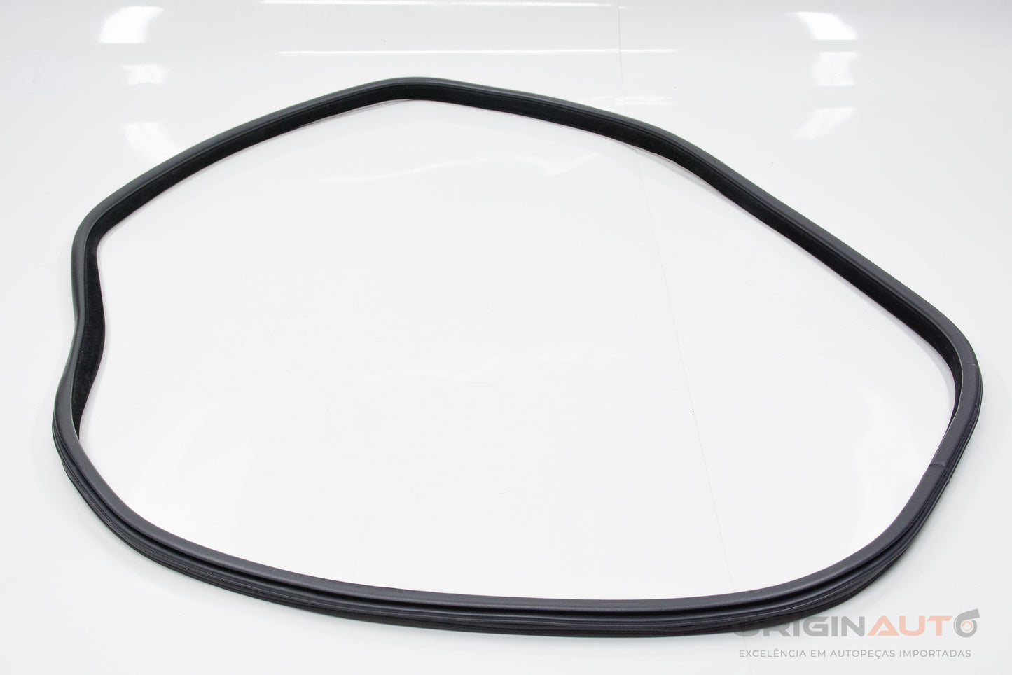 Borracha Porta Traseira Direita Bmw X5 35I F15 2014 7289689