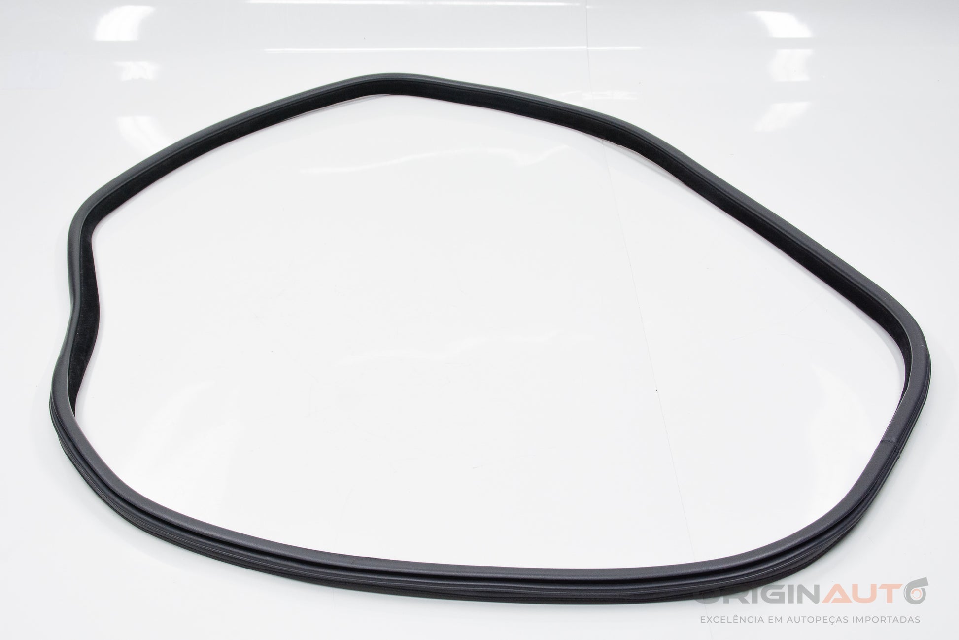 Borracha Porta Traseira Direita Bmw X5 35I F15 2014 7289689