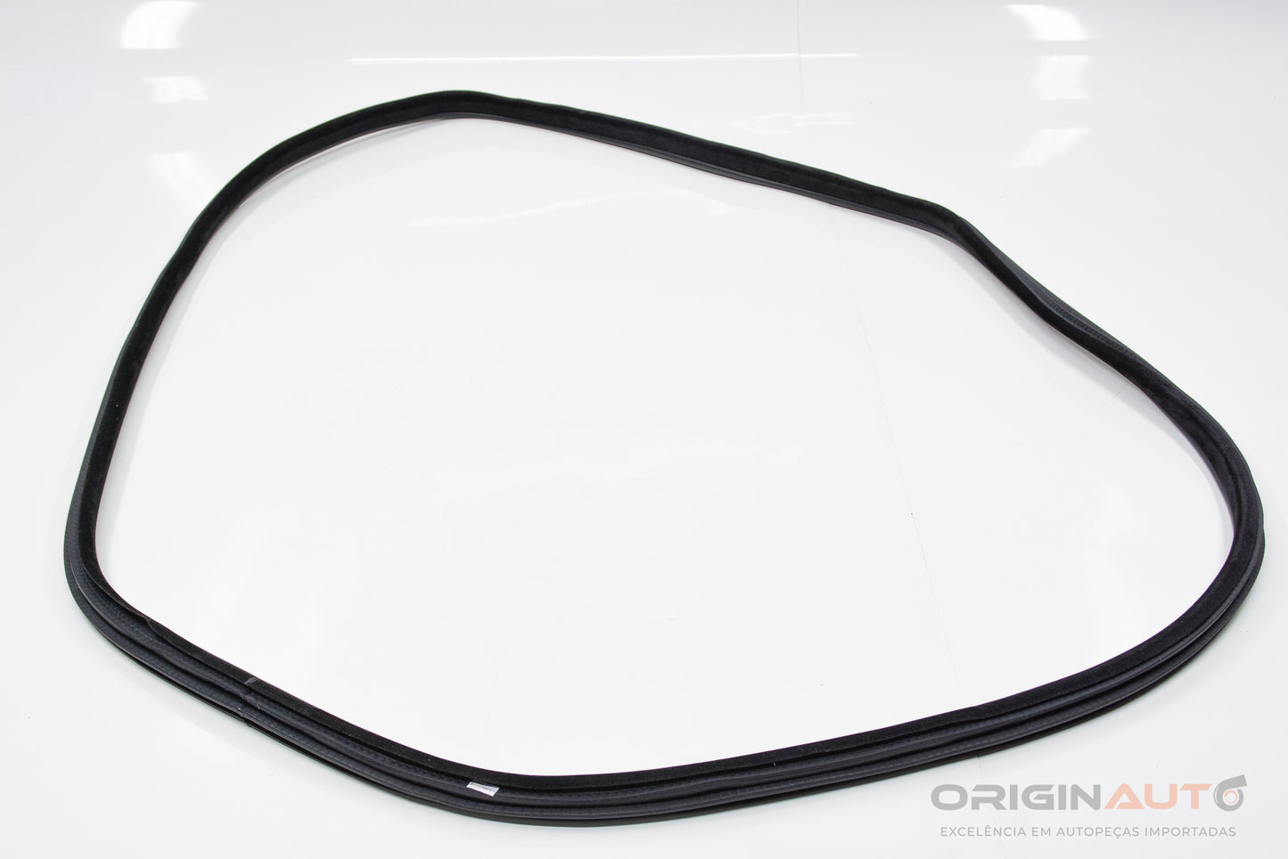 Borracha Porta Traseira Direita Bmw X5 35I F15 2014 7289689