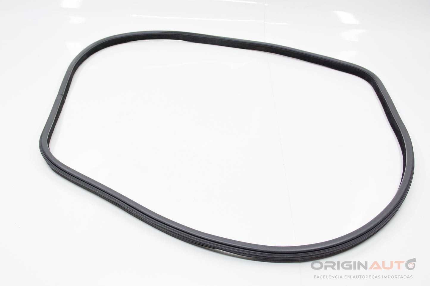 Borracha Porta Dianteira Direita Bmw X5 35I F15 2014 7289610 51727289610