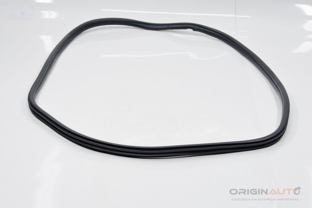 Borracha Porta Traseira Esquerda Bmw 320I M Sport G20 B48 2020 7407375