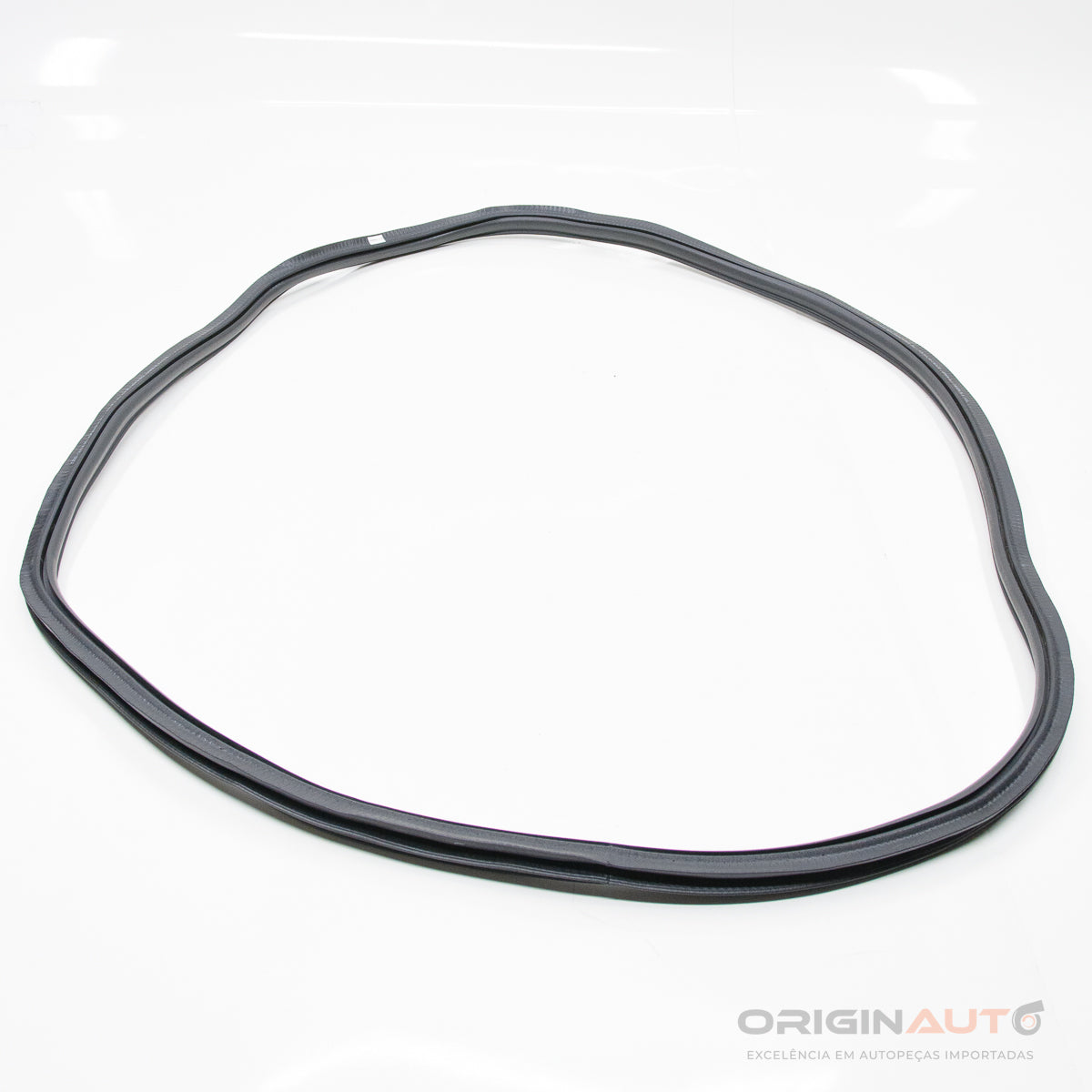 Borracha Porta Traseira Audi A4 2.0 Tfsi B9 2018 8W5833721