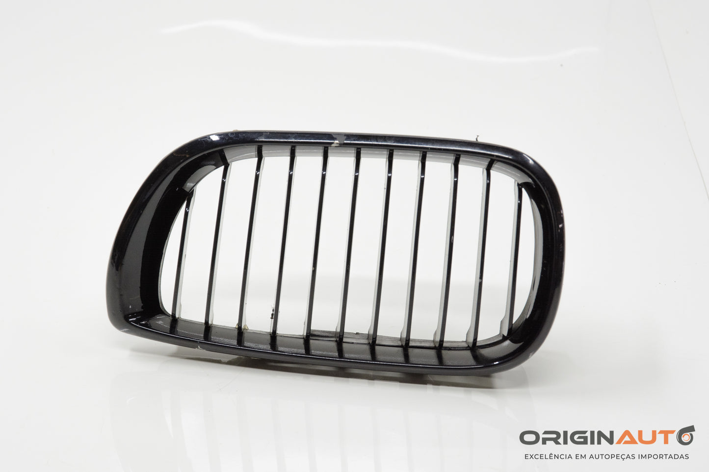 Grade Radiador Esquerda Bmw 320I E46 2001