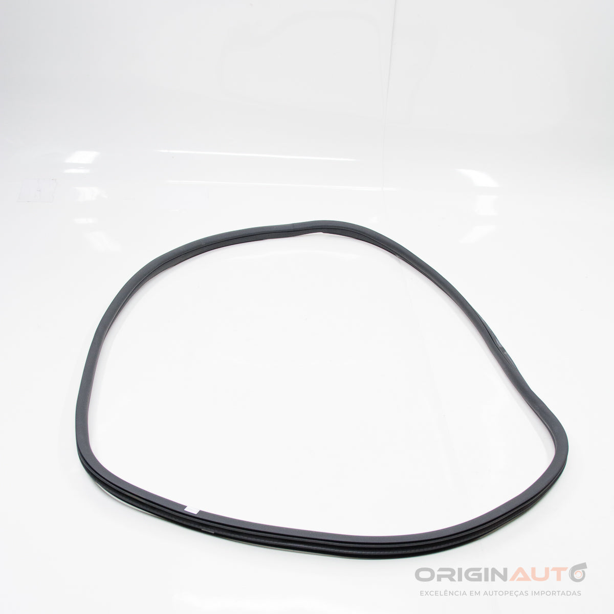 Borracha Porta Traseira Esquerda Mercedes C 43 Amg W205 2018 A2056970151