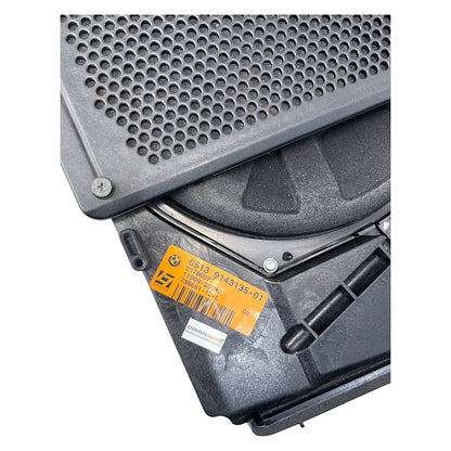 Subwoofer Bmw 335i E90 2010 9143135 Traseiro Esquerdo