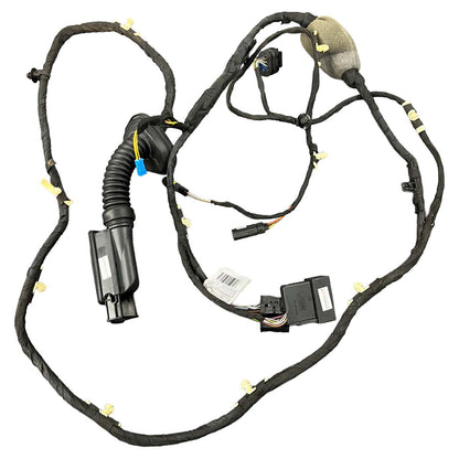 Chicote Porta BMW X5 G05 2019 2020 2021 2022 2023 Traseiro