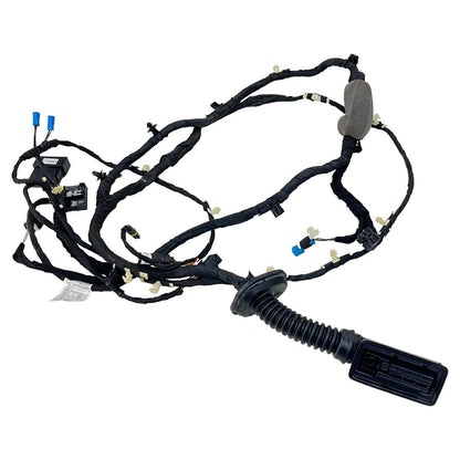Chicote Porta BMW X5 2020 2021 2022 2023 Dianteiro Esquerdo