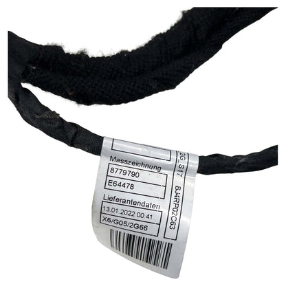 Chicote Porta BMW X5 2020 2021 2022 2023 Dianteiro Esquerdo