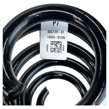 Mola Mini Countryman JCW U25 2025 2026 Baixa KM Traseiro Par