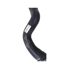 Mangueira Água Radiador Audi A5 190cv 2019 8W0819334F