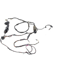 Chicote Porta Traseira Dir BMW X3 G01 252cv 2018 8793250