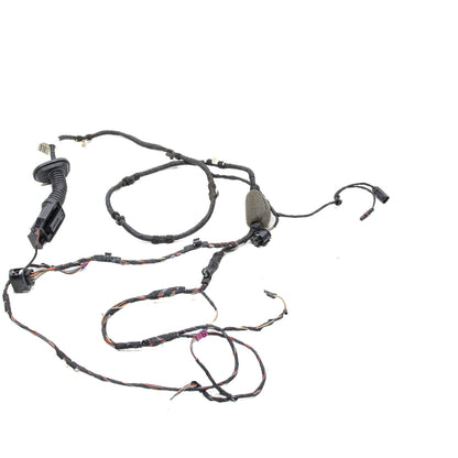 Chicote Porta Traseira Dir BMW X3 G01 252cv 2018 8793250