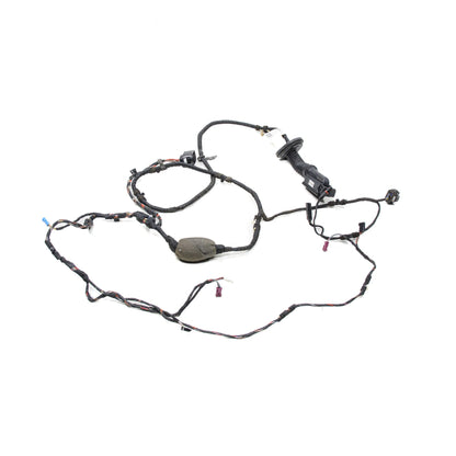 Chicote Porta Traseira Esq BMW X3 G01 252cv 2018 8793250