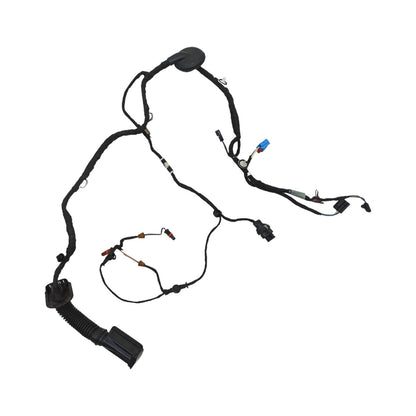 Chicote Porta Audi A5 2019 Traseira Direita 8W8971687D