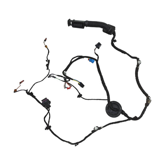 Chicote Porta Audi A5 2019 Traseira Esquerda 8W8971687E
