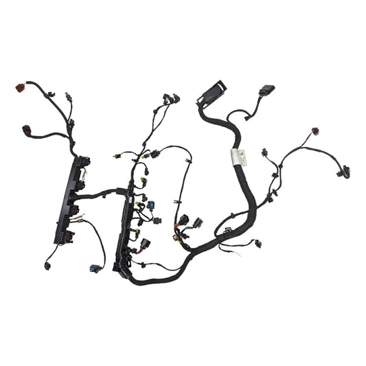 Chicote Injeção Motor Audi A5 190cv 2019 06L971595DH