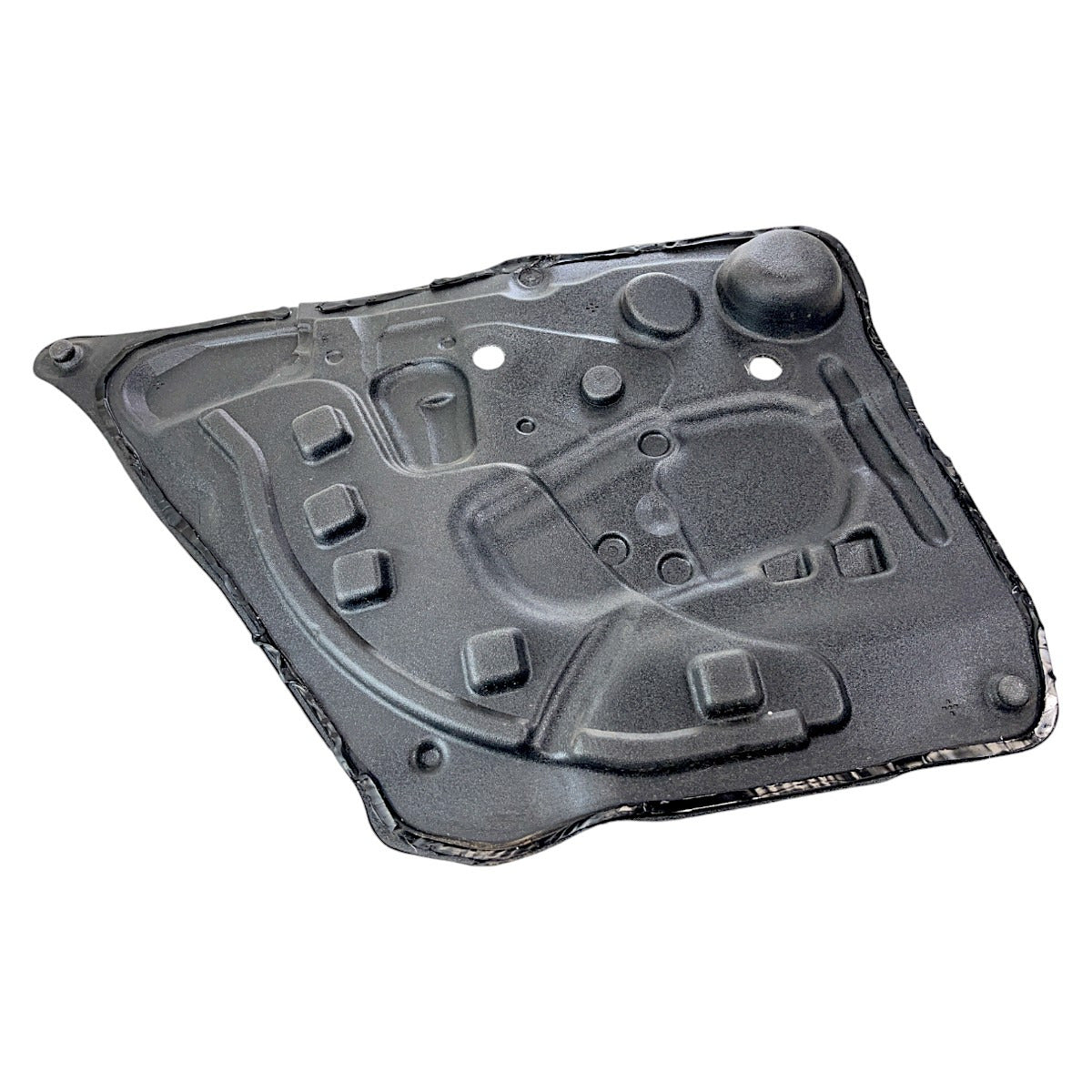 Espuma Forro Porta BMW 550i GT 2010 Traseiro Direito