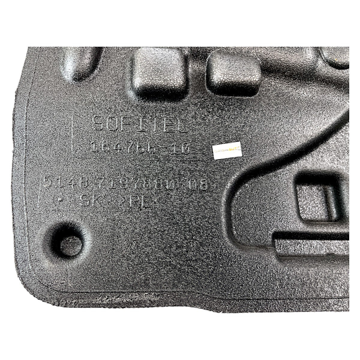 Espuma Forro Porta BMW 550i GT 2010 Traseiro Direito