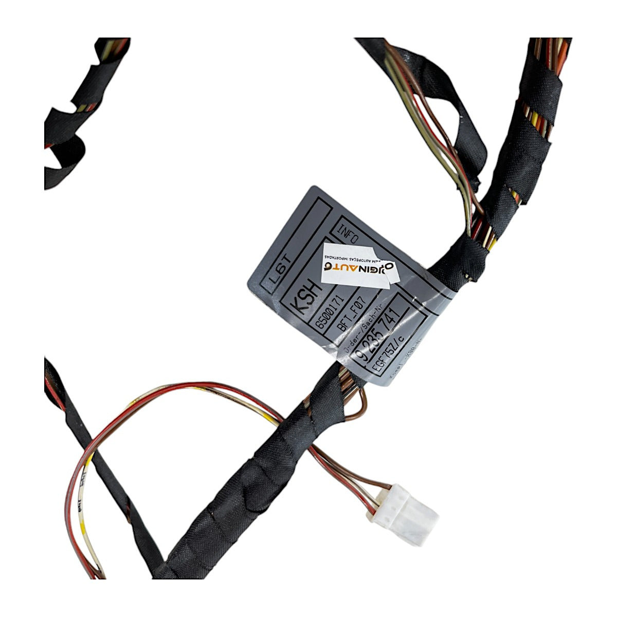 Chicote Porta BMW 535i 550i GT 2010 Dianteira Direita