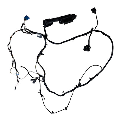 Chicote Porta BMW 535i 550i GT 2010 Traseira Direita