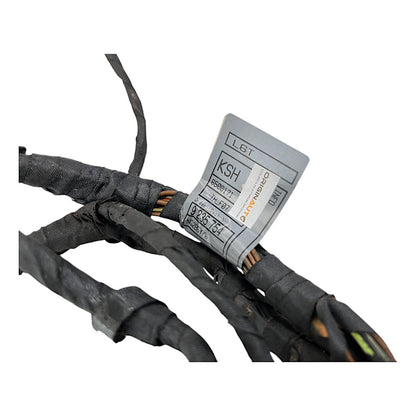 Chicote Porta BMW 535i 550i GT 2010 Traseira Direita