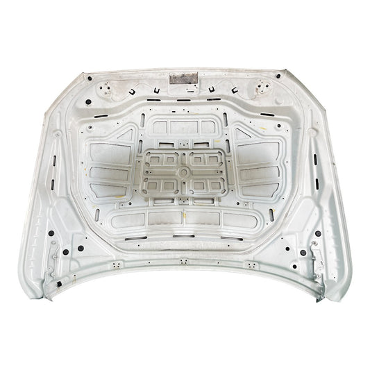 Capô BMW 535i 550i GT 2010 2011 2012 Original Lata