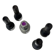 Kit Parafuso Segredo Roda BMW Original Vários Modelo Genuíno