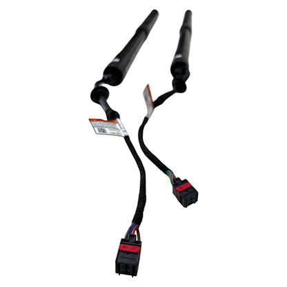 Amortecedor Tampa Traseira Range Rover Sport HSE 2016 Par