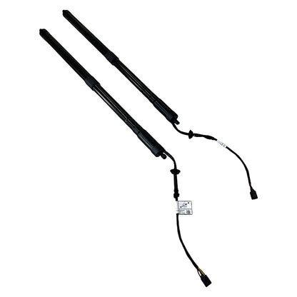 Amortecedor Tampa Traseira Range Rover Sport HSE 2016 Par