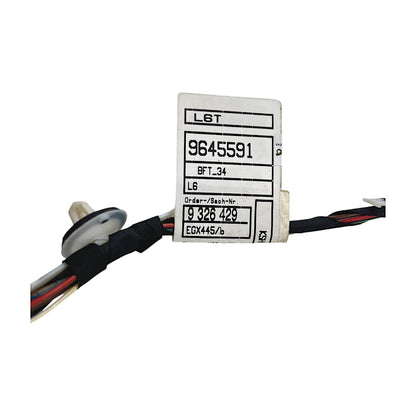 Chicote Porta BMW 320i GT 2015 2016 2017 Dianteira Direita