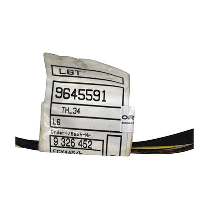 Chicote Porta BMW 320i GT 2015 2016 2017 Traseira Esquerda