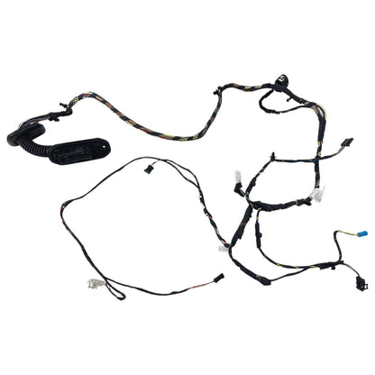 Chicote Porta BMW X4 2015 2016 2017 2018 Traseira Esquerda