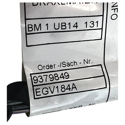 Chicote Porta BMW X4 2015 2016 2017 2018 Traseira Esquerda