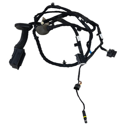 Chicote Porta BMW 320i G20 2020 2021 2022 Traseiro Dir Esq