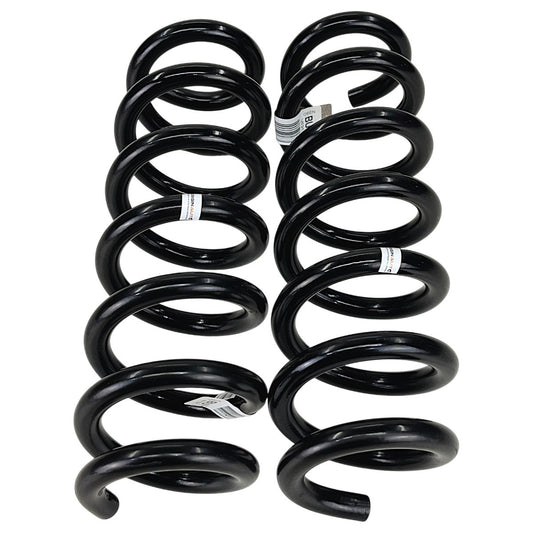Mola BMW 320i M G20 2020 2021 2022 Traseiro Par