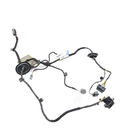 Chicote Porta Traseira Dir Volvo XC40 T5 2020 32218865